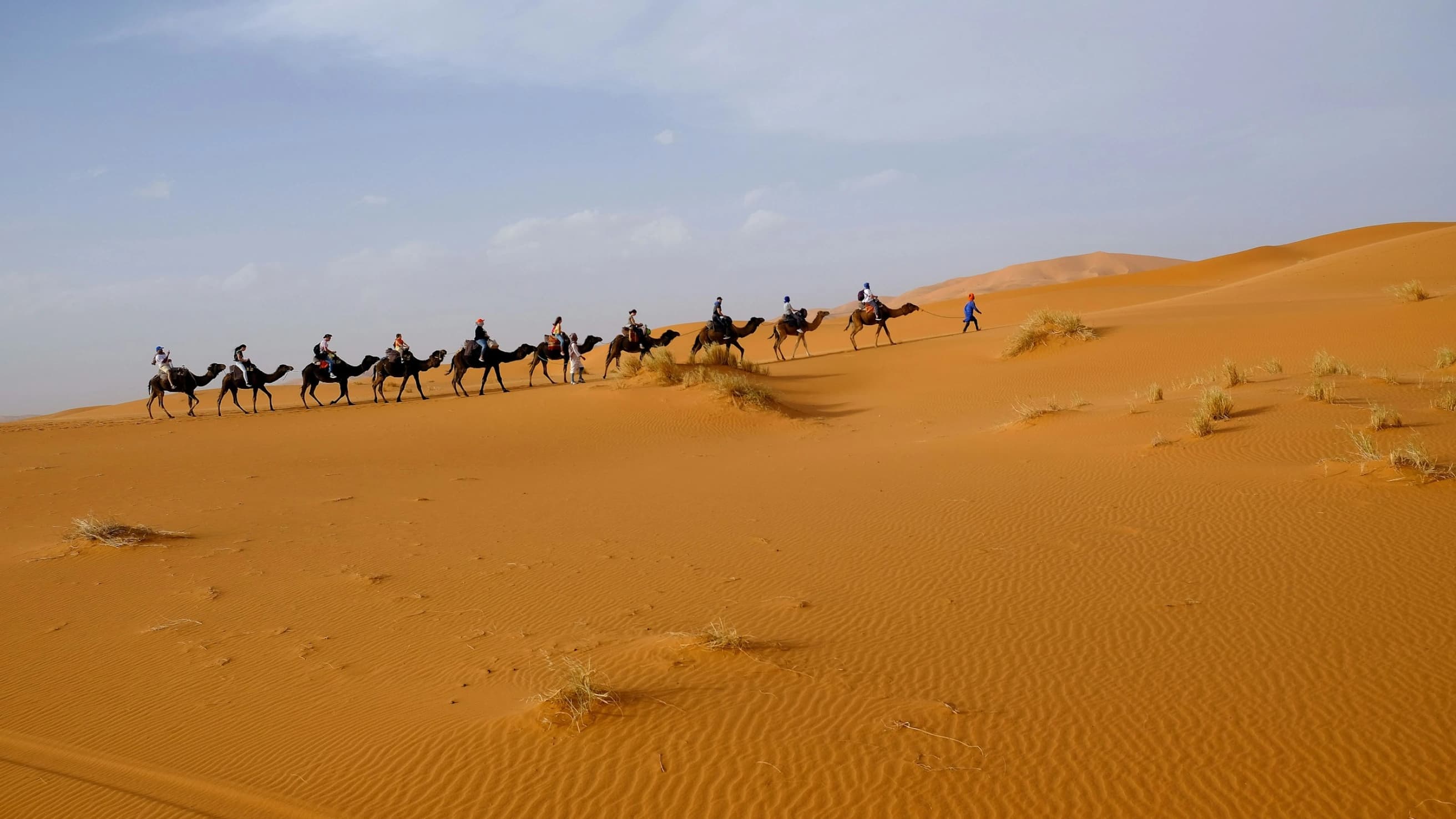 Sahara Desert